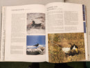 Every Australian Bird Illustrated by Peter Wade