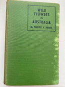 Wild Flowers of Australia by Thistle Y. Harris