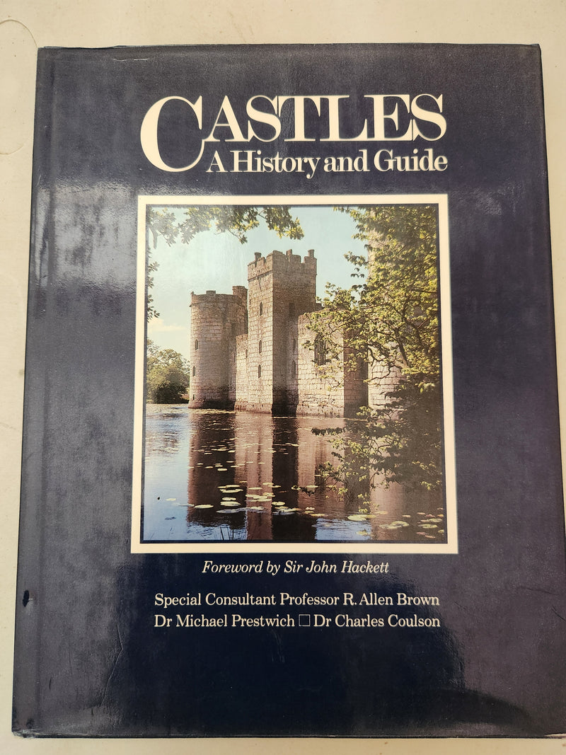 Castles: A History and Guide by Professor R. Allen Brown