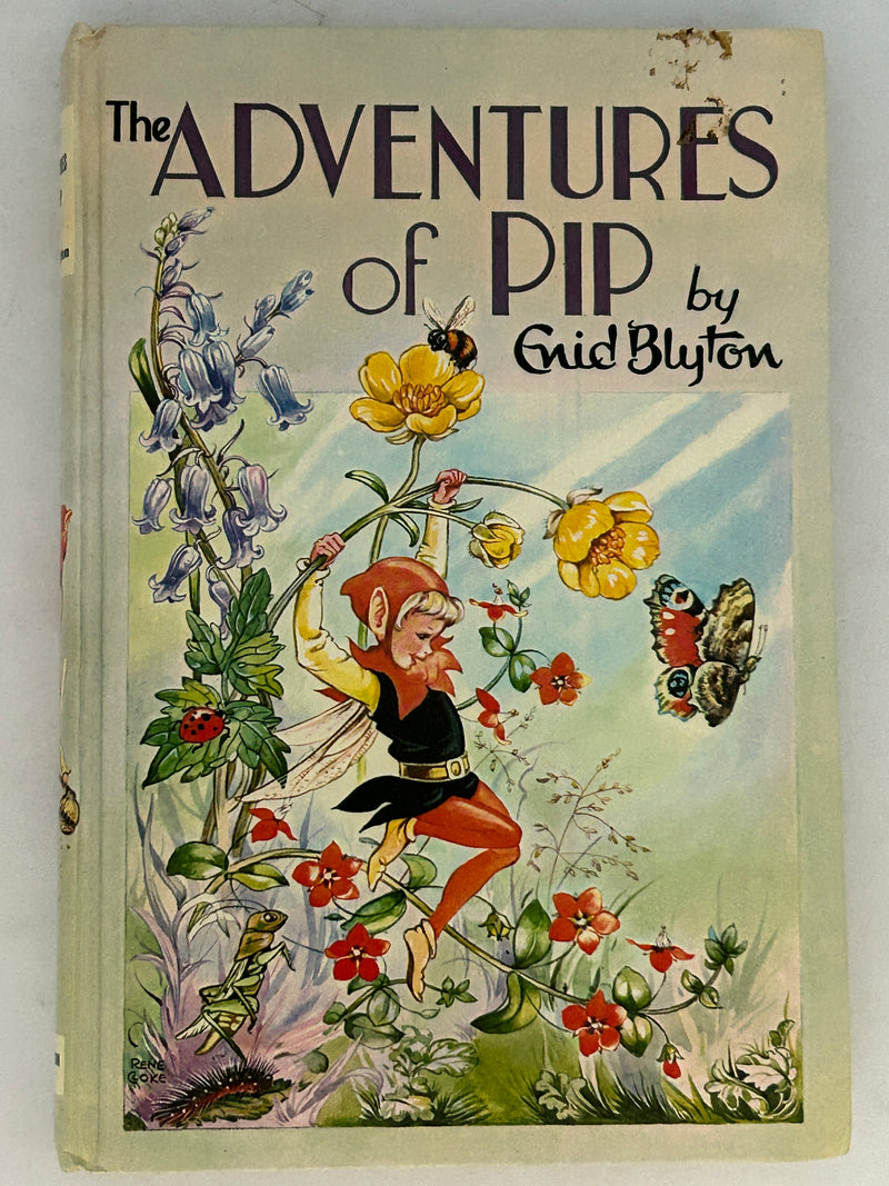 The adventures of Pip by Enid Blyton