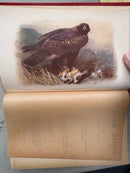 British Birds by W. H. Hudson