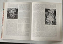 Handbook of Trees and Shrubs for the Southern Hemisphere - Richmond E. Harrison