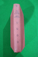 The Dark Raider by John Elsworth