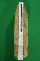 Prehistoric Painting by Raoul-Jean Moulin