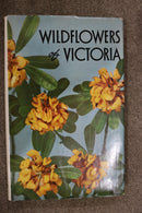 Wildflowers of Victoria