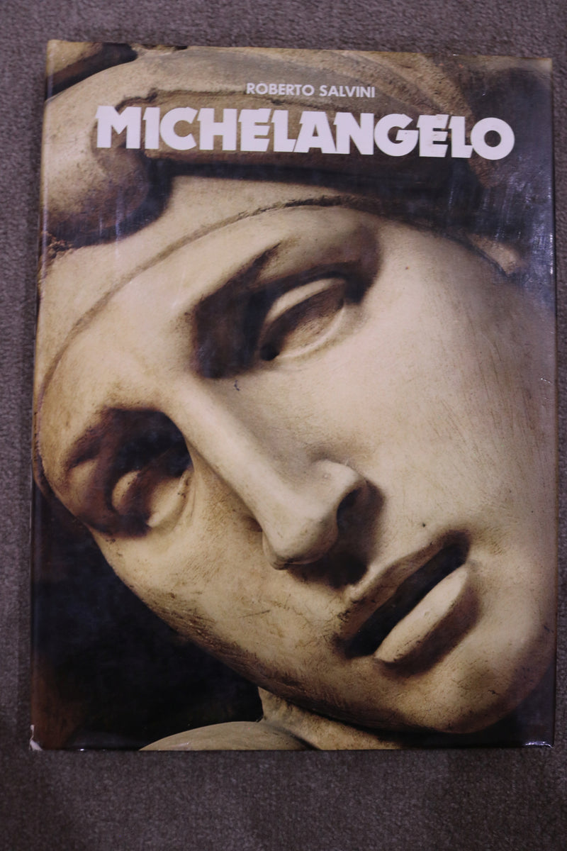 Michelangelo by Roberto Salvini