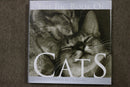 The Big Bok of Cats edited by J.C. Suares
