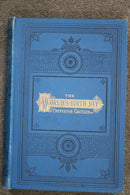 The World's Birth-day: A Book for the Young by Professor L. Gaussen
