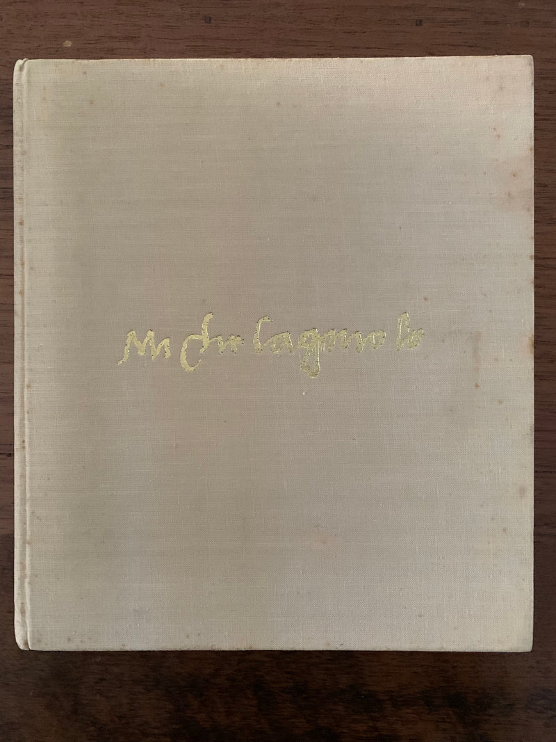 Michelangelo by Nicholas Wadley