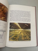 Set of 3 Terracotta Army books