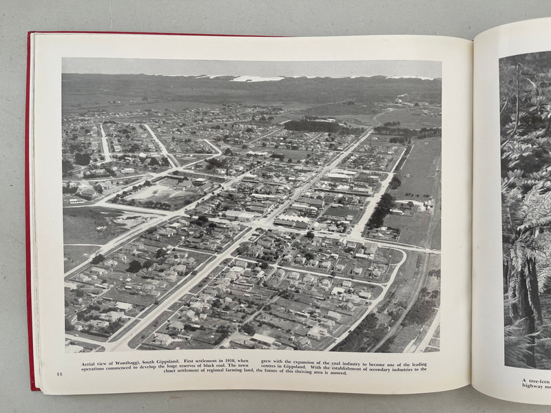 Victoria: A Camera Study by Frank Hurley