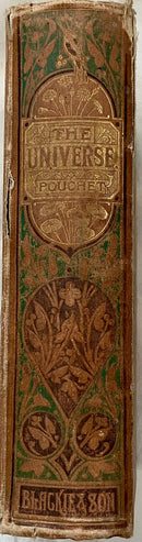 The Universe, Or, The Wonders of Creation: The Infinitely Great and the Infinitely Little by F.A. Pouchet