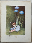 A Bunch of Wild Flowers by Ida R. Outhwaite