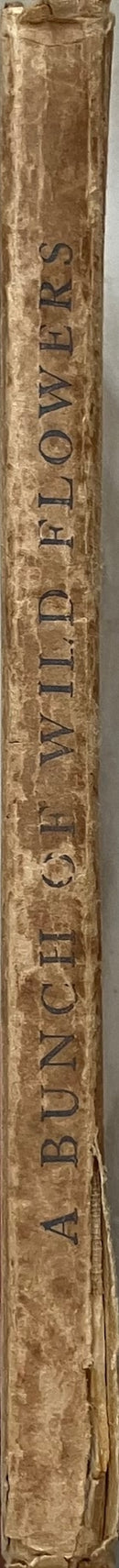 A Bunch of Wild Flowers by Ida R. Outhwaite