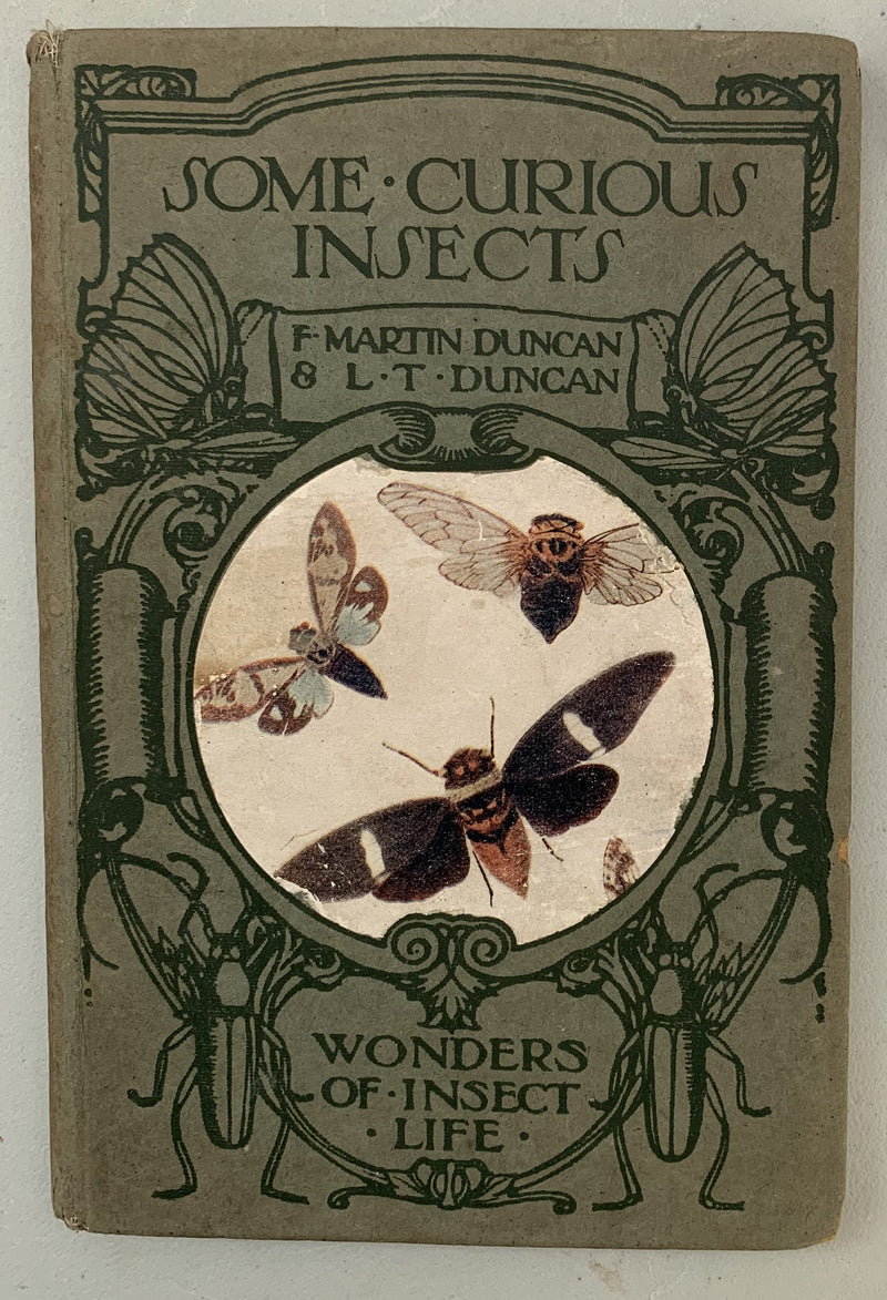 Some Curious Insects by F Martin Duncan and L T Duncan