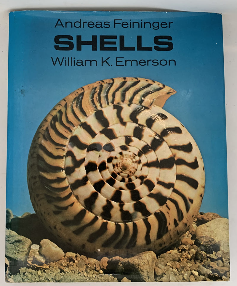 Shells by William K. Emerson