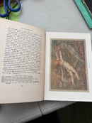 The Water-Babies Written by Charles Kingsley and Illustrated Ethel Everett