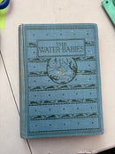 The Water-Babies Written by Charles Kingsley and Illustrated Ethel Everett