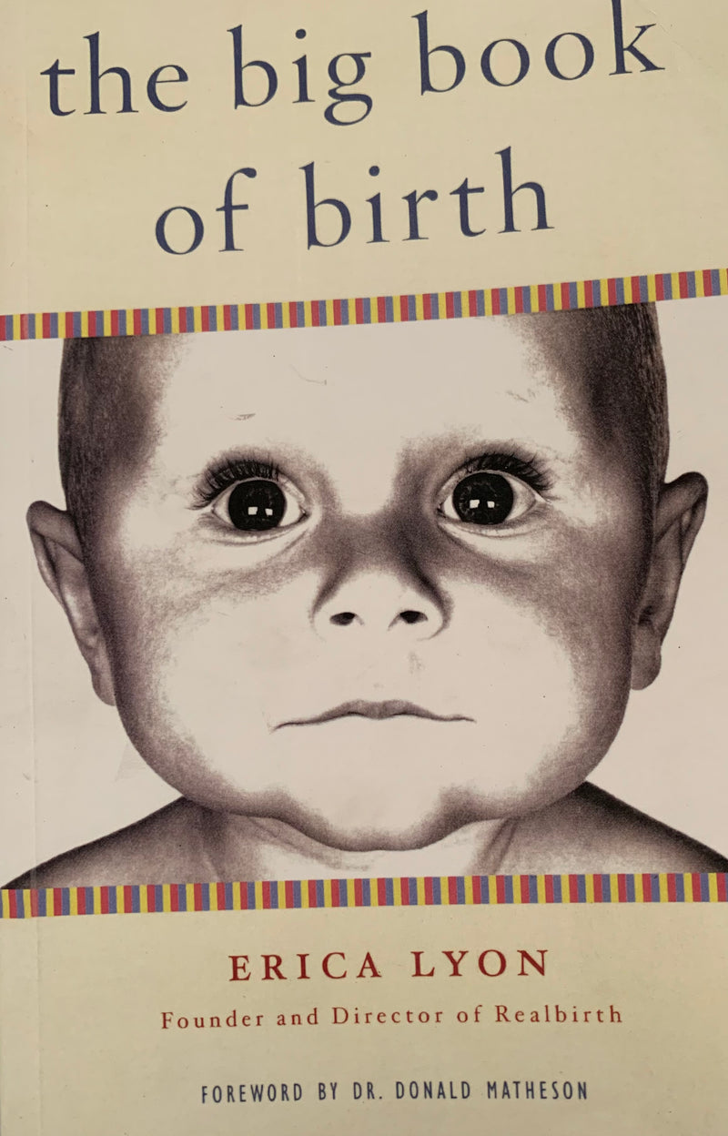 The Big Book of Birth - Erica Lyon