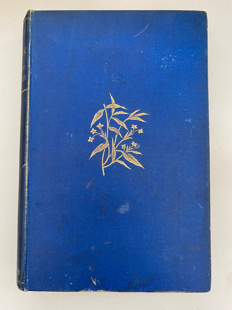 Missionary to the New Hebrides, an Autobiography by John G. Paton, '1889'